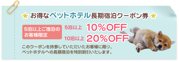 お得なペットホテル長期宿泊クーポン 10%OFF