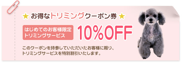 お得なトリミングクーポン 10%OFF